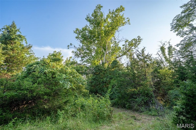 0 S Mine La Motte Ave, Fredericktown, MO 63645 - photo 31