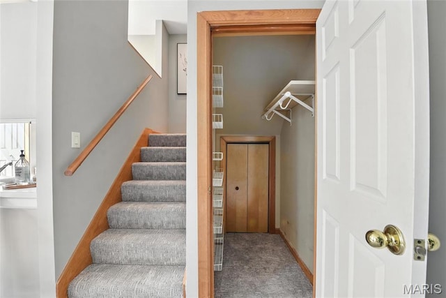 1621 11th St S Unit C, Saint Louis, MO 63104 - photo 12