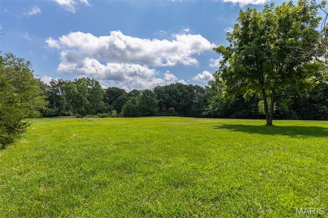 416 Pfahler St, Sawyerville, IL 62085 - photo 48