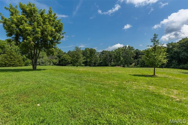 416 Pfahler St, Sawyerville, IL 62085 - photo 49