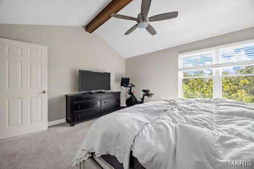 1814 Baxter Ridge Dr, Chesterfield, MO 63017 - photo 25