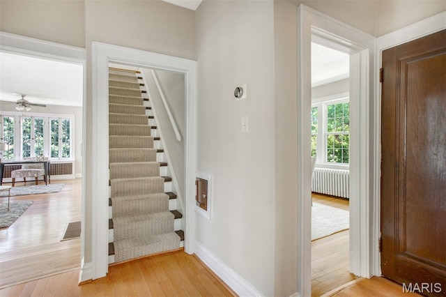 7300 Colgate Ave, University City, MO 63130 - photo 14