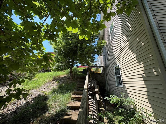 123 S 2nd St, De Soto, MO 63020 - photo 4