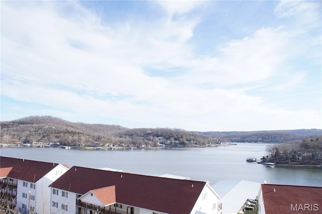 139 Barba Le Ln Unit 2D, Lake Ozark, MO 33067 - photo 43