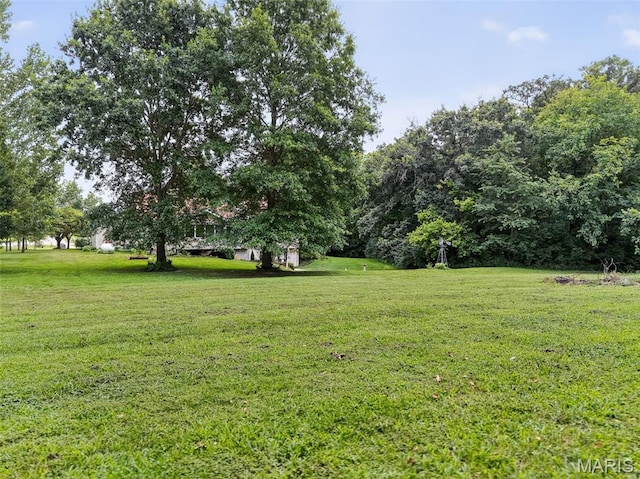 54 Minnie Ct, Old Monroe, MO 63369 - photo 6