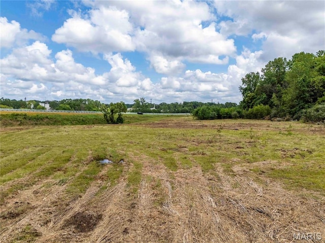 3500 Homer M Adams Pkwy, Alton, IL 62002 - photo 6