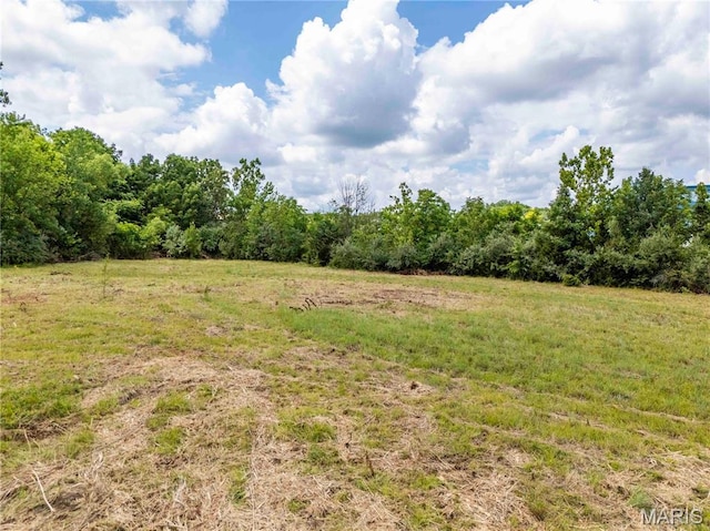 3500 Homer M Adams Pkwy, Alton, IL 62002 - photo 7