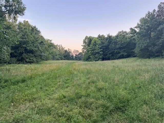 BCR310 Bcr 310, Marble Hill, MO 63764 - photo 1