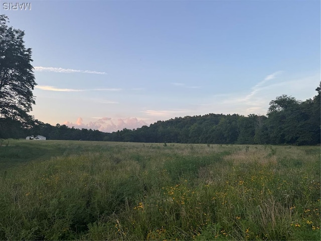 BCR310 Bcr 310, Marble Hill, MO 63764 - photo 2
