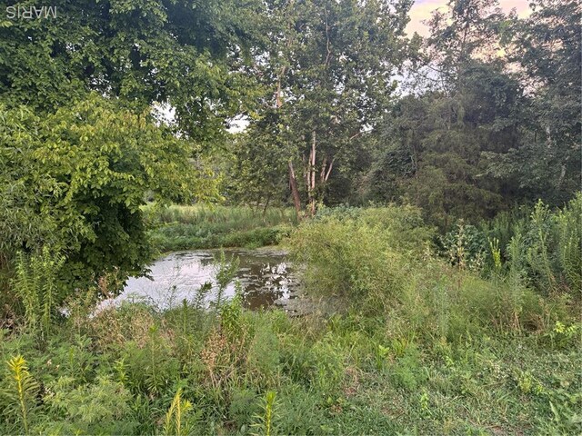 BCR310 Bcr 310, Marble Hill, MO 63764 - photo 3