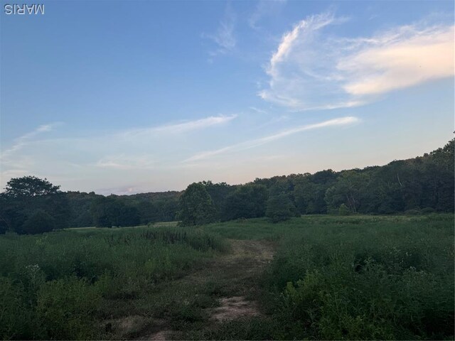 BCR310 Bcr 310, Marble Hill, MO 63764 - photo 4