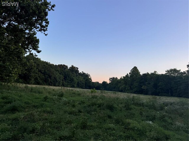 BCR310 Bcr 310, Marble Hill, MO 63764 - photo 5