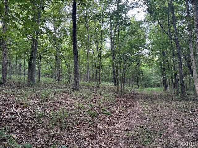 BCR310 Bcr 310, Marble Hill, MO 63764 - photo 6