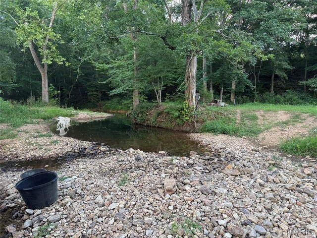 BCR310 Bcr 310, Marble Hill, MO 63764 - photo 7