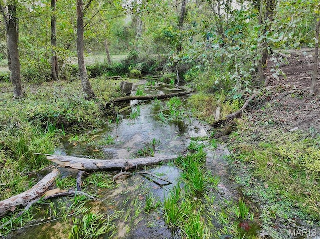 0TBD Jeffries Rd, Richland, MO 65556 - photo 11