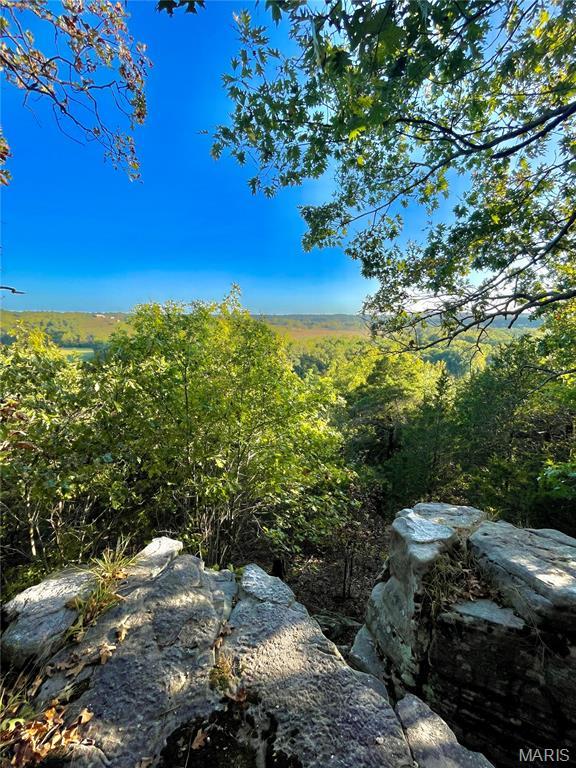 0TBD Jeffries Rd, Richland, MO 65556 - photo 26