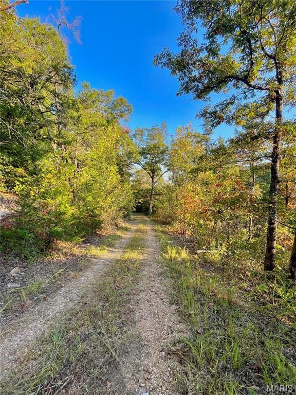 0TBD Jeffries Rd, Richland, MO 65556 - photo 28