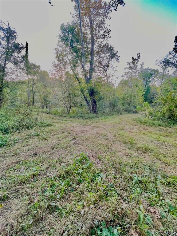 0TBD Jeffries Rd, Richland, MO 65556 - photo 30