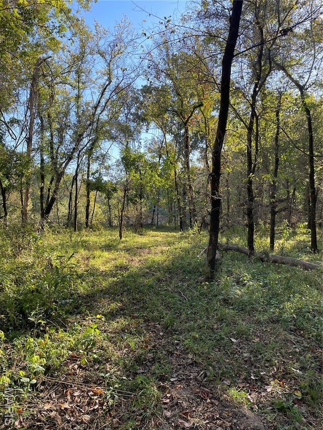 0TBD Jeffries Rd, Richland, MO 65556 - photo 32