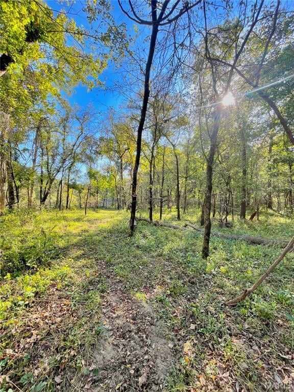 0TBD Jeffries Rd, Richland, MO 65556 - photo 33