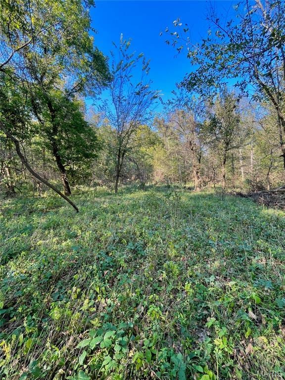 0TBD Jeffries Rd, Richland, MO 65556 - photo 34