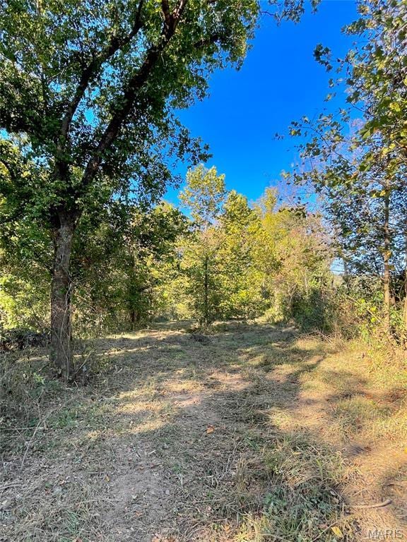 0TBD Jeffries Rd, Richland, MO 65556 - photo 35