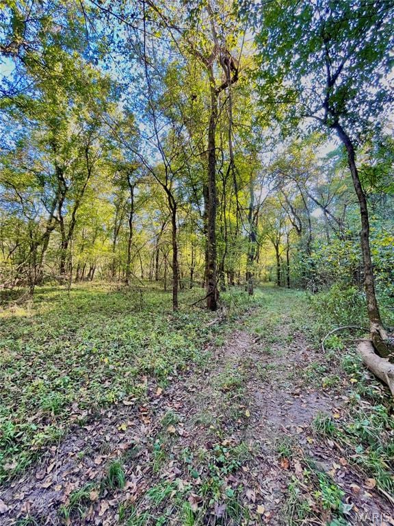 0TBD Jeffries Rd, Richland, MO 65556 - photo 37