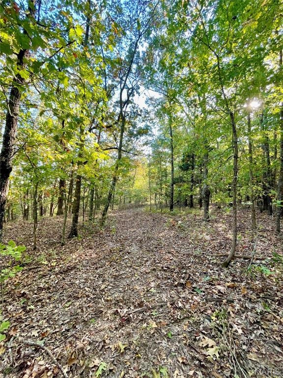 0TBD Jeffries Rd, Richland, MO 65556 - photo 38
