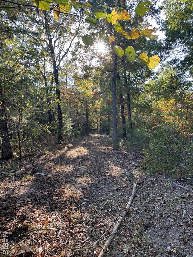 0TBD Jeffries Rd, Richland, MO 65556 - photo 40