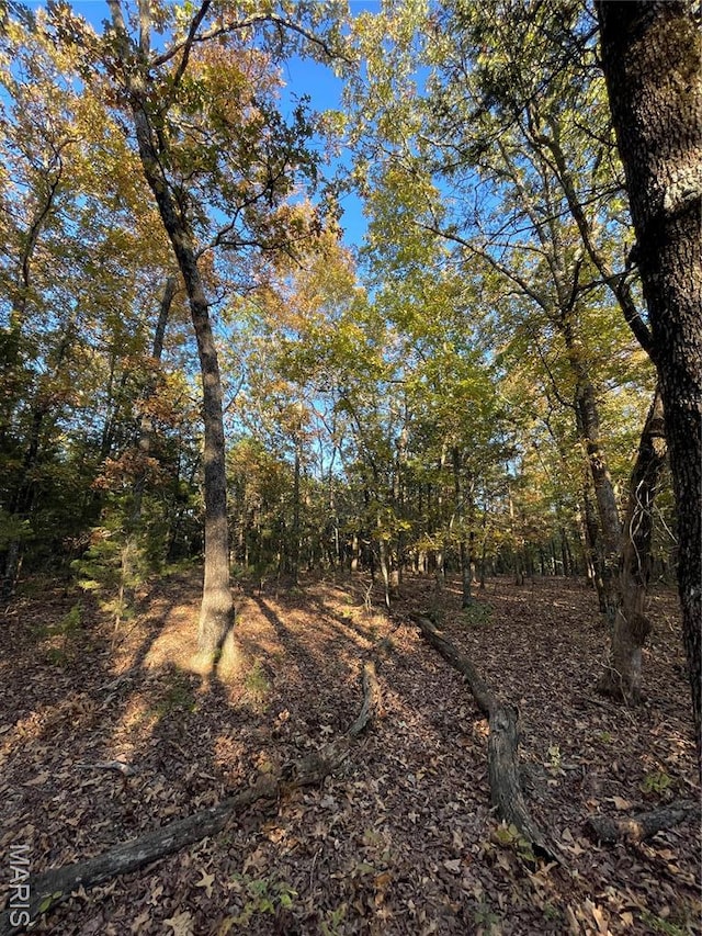 0TBD Jeffries Rd, Richland, MO 65556 - photo 42