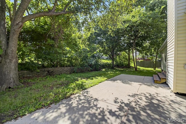 14 Walnut Hill Ct, Saint Charles, MO 63304 - photo 36