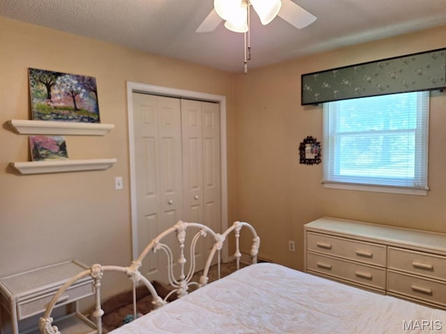 17085 Cedar Valley Dr, Dexter, MO 63841 - photo 17