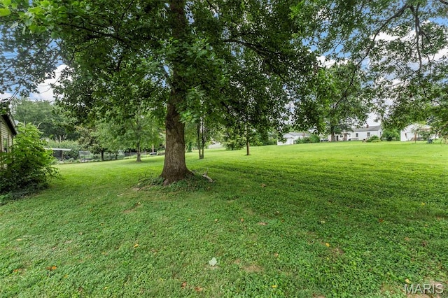 19 Cloverleaf Ln, Manchester, MO 63011 - photo 21