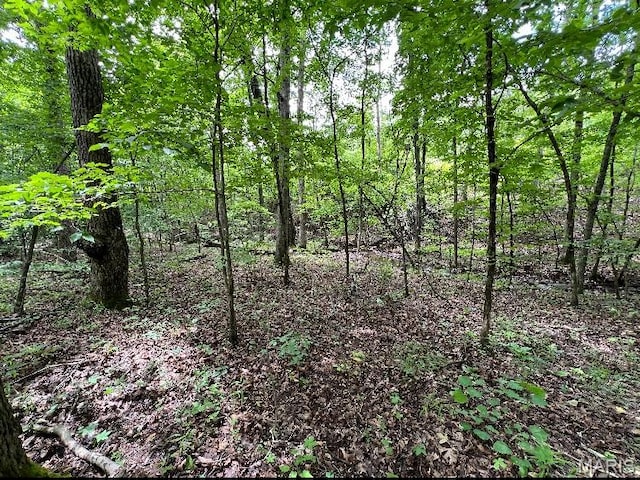 15 N Hwy, Middlebrook, MO 63656 - photo 3