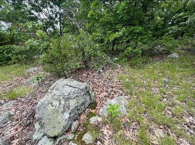 15 N Hwy, Middlebrook, MO 63656 - photo 7