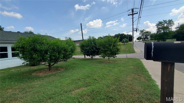 1000 W Franklin St, Salem, MO 65560 - photo 36