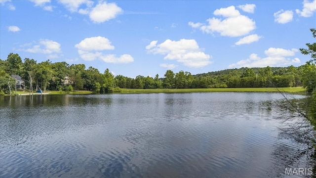 10509 Acorn Dr, Hillsboro, MO 63050 - photo 2