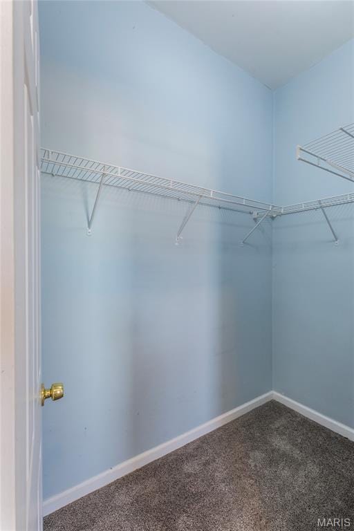 3007 Minnesota Ave, Saint Louis, MO 63118 - photo 30