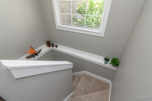 5600 Sweet Springs Ct, Jefferson City, MO 65109 - photo 32
