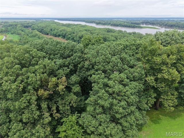 12 Orchard Point Rd, Hannibal, MO 63401 - photo 5