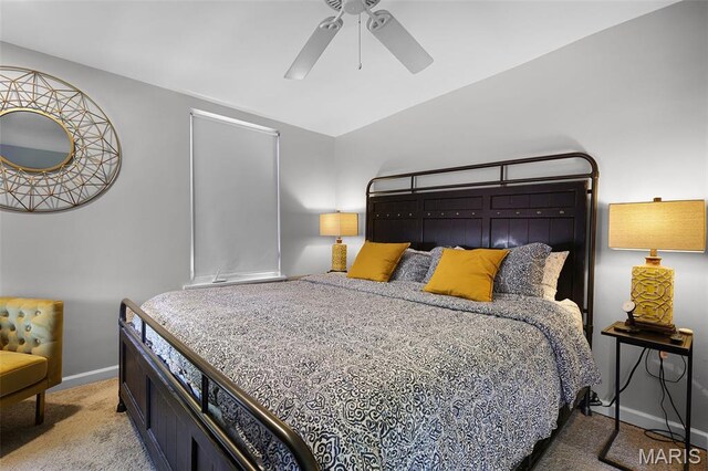 1915 Senate St # C, Saint Louis, MO 63118 - photo 13