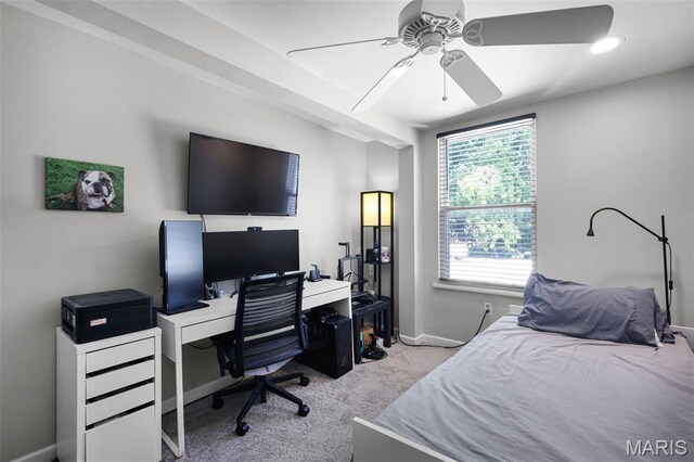 1915 Senate St # C, Saint Louis, MO 63118 - photo 19