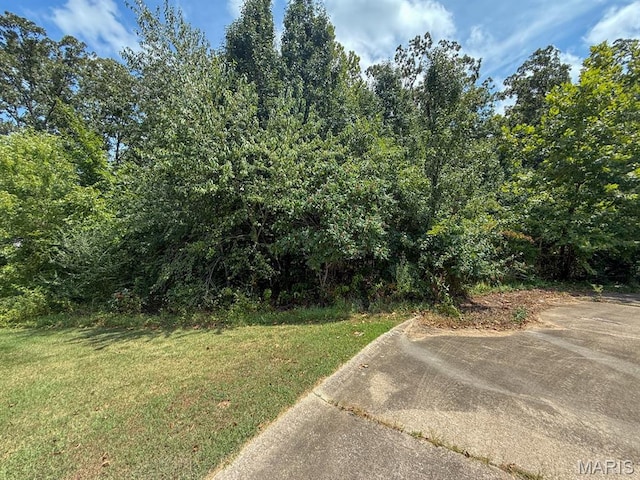 TBD Renee Ln, Poplar Bluff, MO 63901 - photo 2