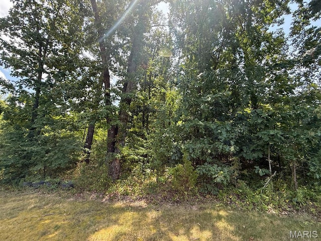 TBD Renee Ln, Poplar Bluff, MO 63901 - photo 3