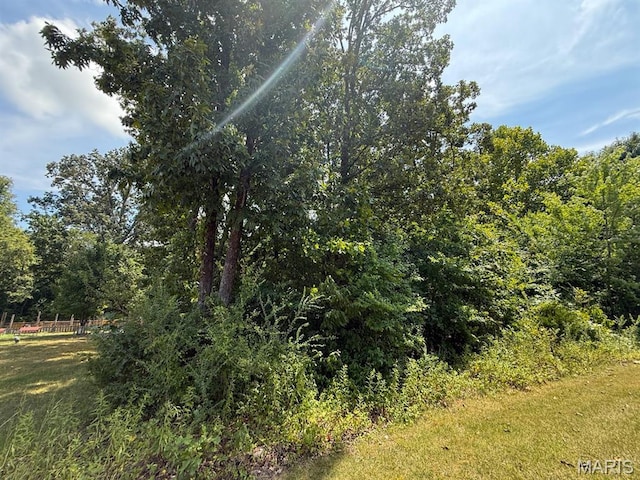 TBD Renee Ln, Poplar Bluff, MO 63901 - photo 4