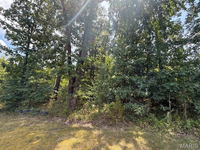 TBD Renee Ln, Poplar Bluff, MO 63901 - photo 5