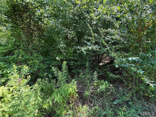 TBD Renee Ln, Poplar Bluff, MO 63901 - photo 6