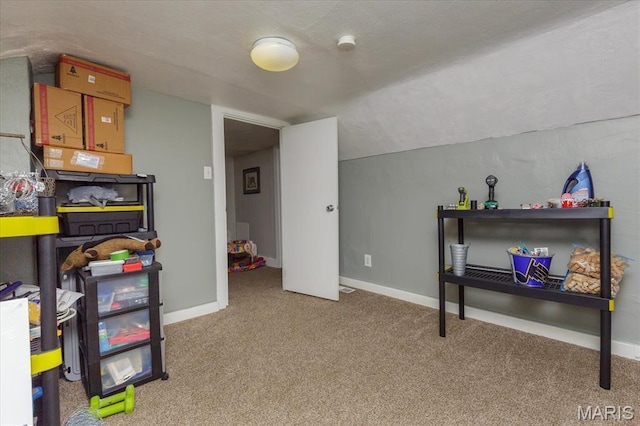 1718 Gallaher Ave, Saint Charles, MO 63301 - photo 19
