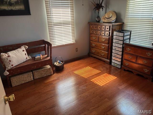 310 Dunklin St, Morehouse, MO 63860 - photo 14