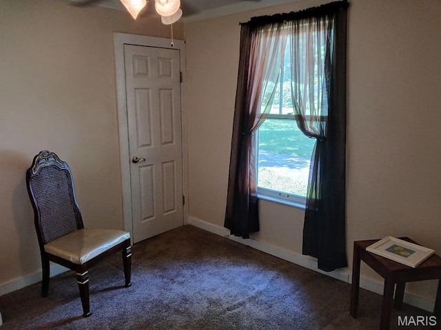 9016 Baroda Ave, Overland, MO 63114 - photo 6